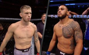 Brad Tavares vs Krzysztof Jotko UFC on FOX 29