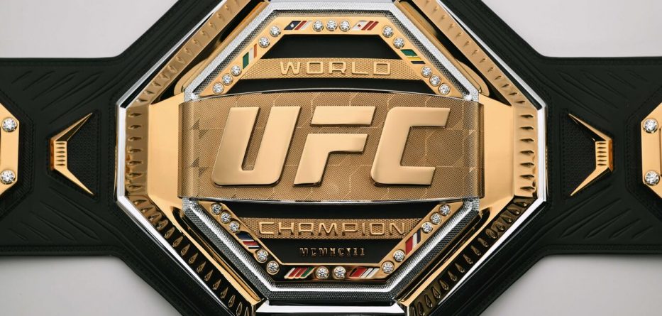 Resultado de imagem para MMA – UFC – LUTAS LOGOS